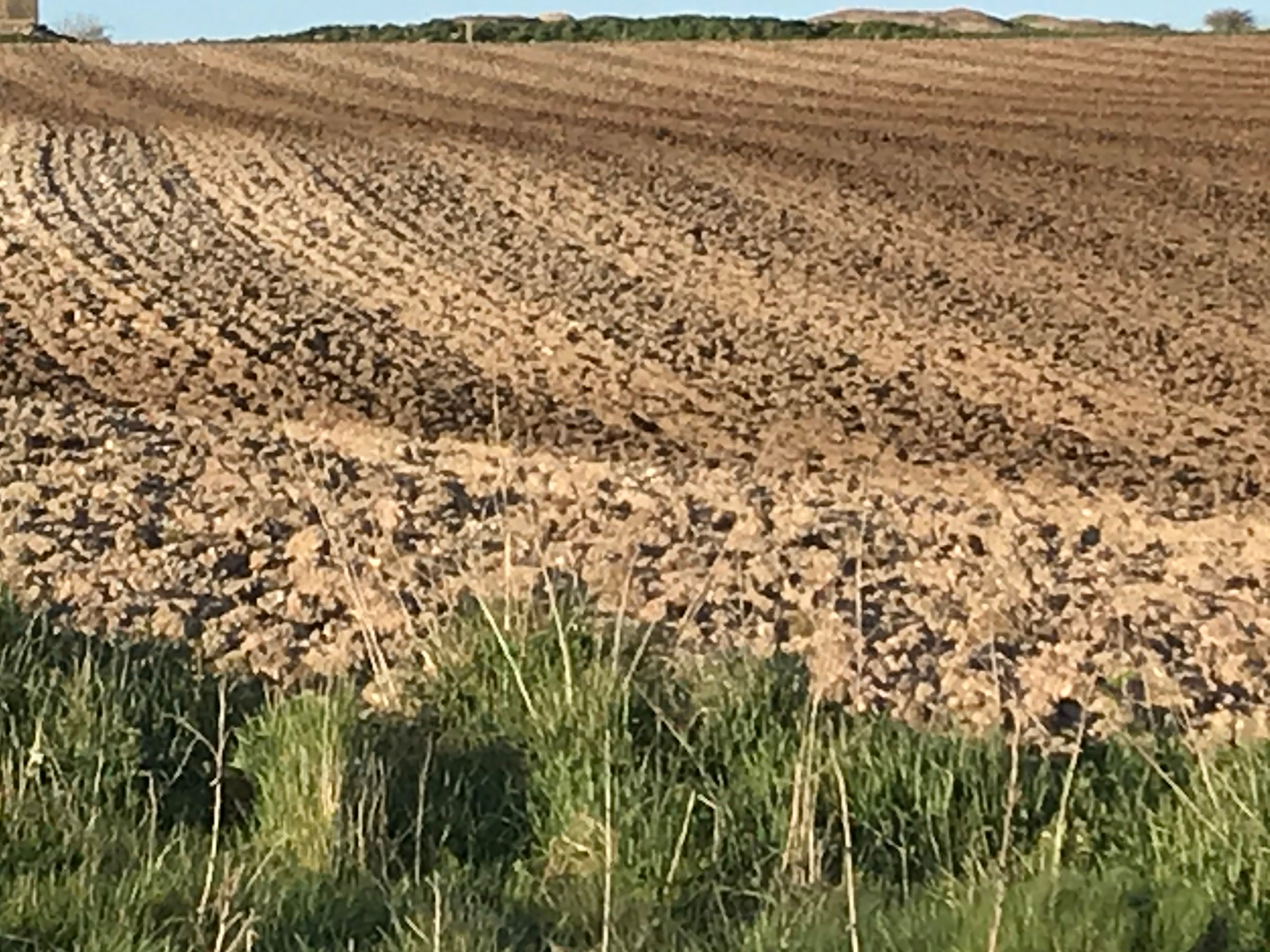 Ploughed field . 2