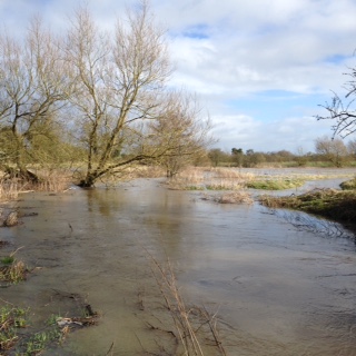 R Avon water meadows in flood early 2016