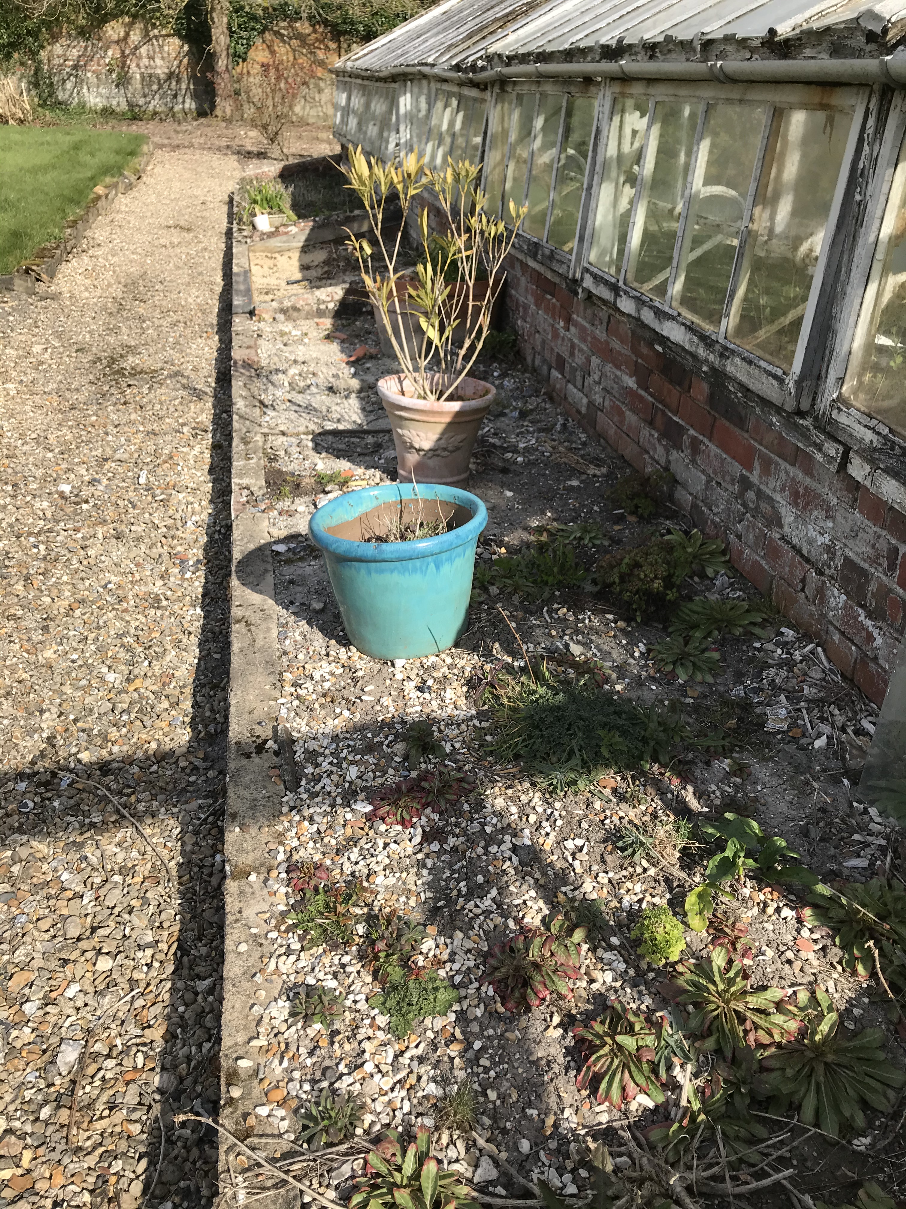 Green house sandy bed and gravel path