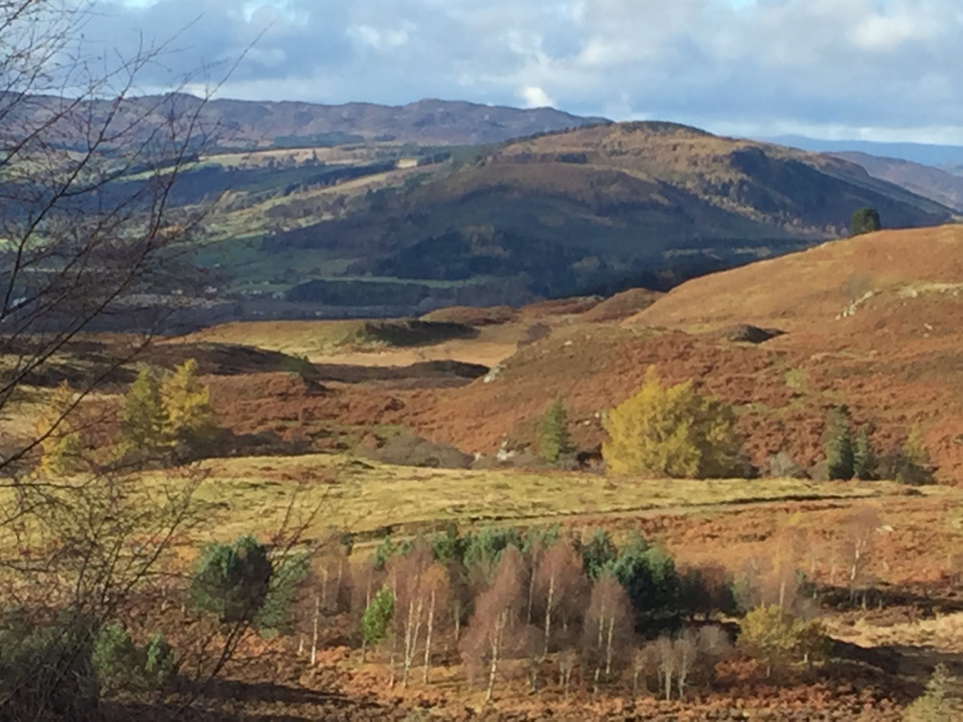 Dunkled walk Nov 17 - vie NW over R Tay from track west of Deuchary Hill.2